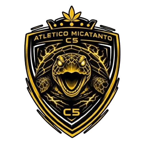ATLETICO MICATANTO